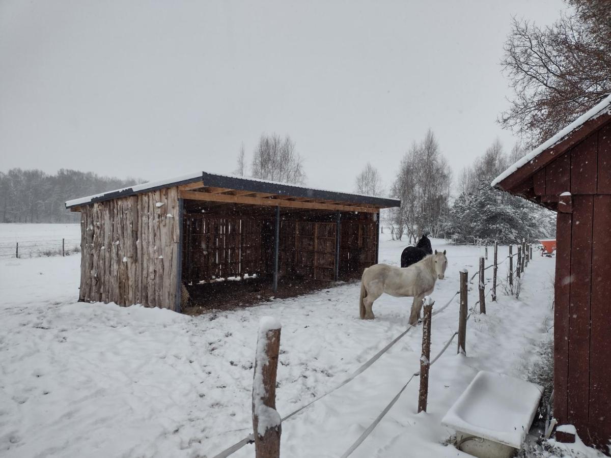 Kolorowe Wzgorze Agroturystyka I Konie Trojanow Exterior foto