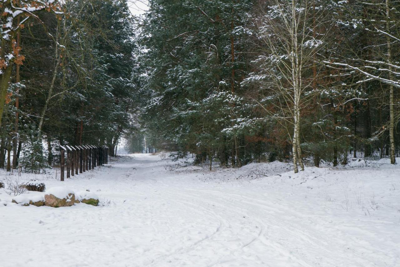 Kolorowe Wzgorze Agroturystyka I Konie Trojanow Exterior foto