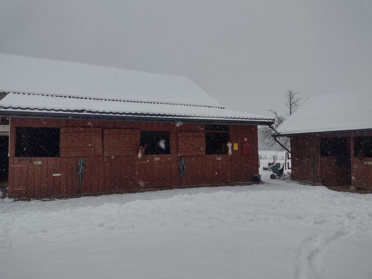Kolorowe Wzgorze Agroturystyka I Konie Trojanow Exterior foto