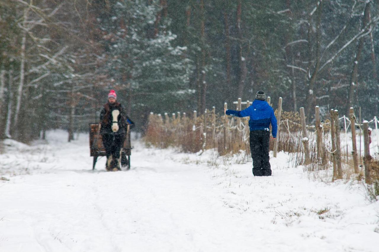 Kolorowe Wzgorze Agroturystyka I Konie Trojanow Exterior foto