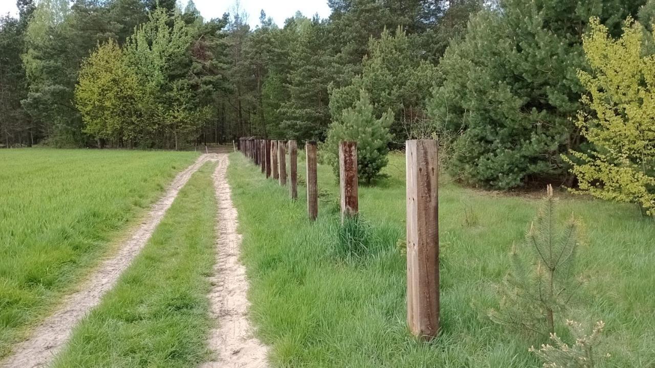 Kolorowe Wzgorze Agroturystyka I Konie Trojanow Exterior foto
